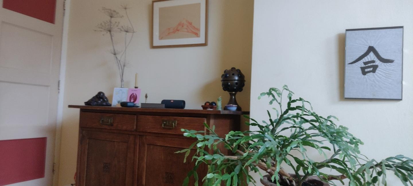 Appartement te huur in Den Haag – Hoenderloostraat – foto 3