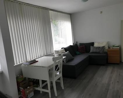 Studio te huur 645 euro Loevesteinstraat, Nijmegen