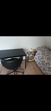 Room for rent 600 euro Haagweg, Breda
