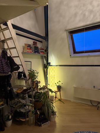 Zimmer bei Coenderstraat In Delft