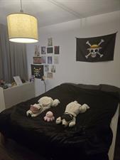 Room for rent 900 euro Bontwerkersdreef, Maastricht