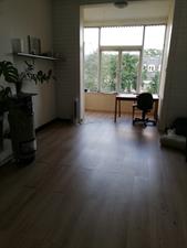 Zimmer zu vermieten 560 Euro Obrechtstraat, Utrecht