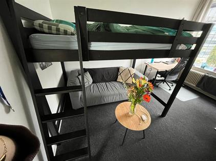 Room for rent 400 euro Boerhaavelaan, Groningen