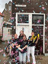 Room for rent 420 euro Oosteinde, Delft