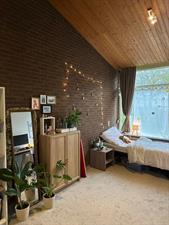 Room for rent 750 euro Aan 't Verlaat, Delft