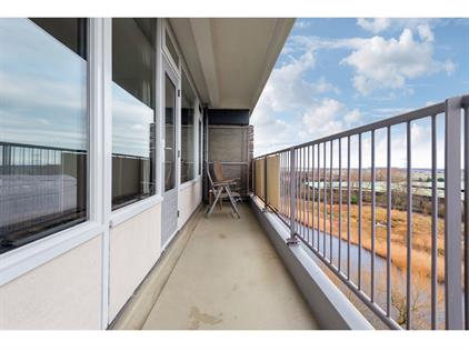 Kamer te huur 1300 euro Oost-Dorsch, Zaandam