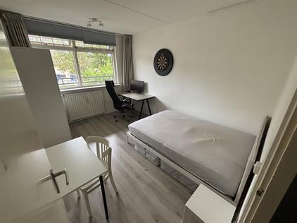 Kamer te huur 540 euro Steenvoordelaan, Rijswijk