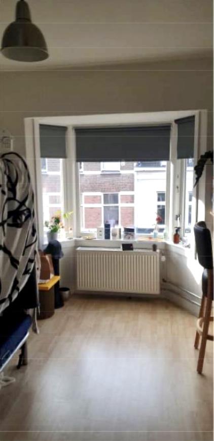 Kamer te huur 423 euro Hommelstraat, Arnhem