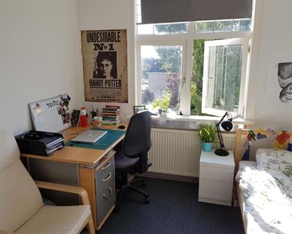 Room for rent 750 euro Witte Singel, Leiden
