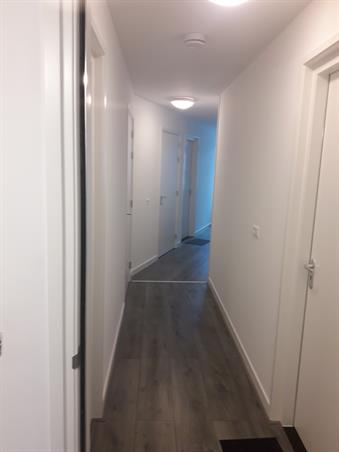 Zimmer bei Suikerland In Arnhem