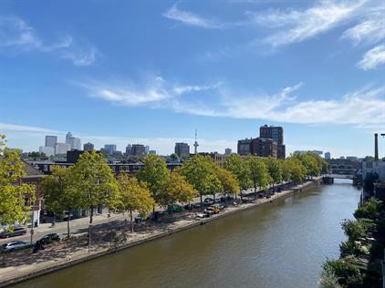 Room for rent 650 euro Mathenesserdijk, Rotterdam