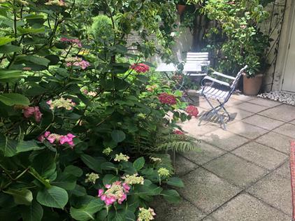 Room for rent 2645 euro Singel, Amsterdam