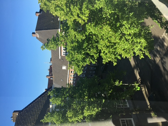 Kamer aan Geleenstraat, Amsterdam 9