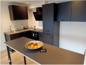 Apartment for rent 495 euro van Maelstedestraat, 's-Heer Hendrikskinderen