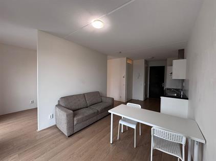 Apartment for rent 1400 euro 1e Van der Kunstraat, Den Haag