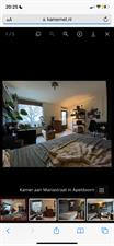 Room for rent 410 euro Mariastraat, Apeldoorn