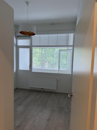 Zimmer bei Levendaal In Leiden