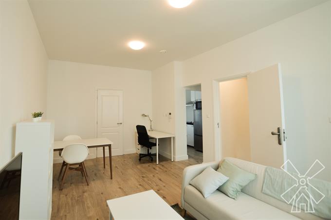 Kamer in Den Haag, Marcelisstraat op Kamernet.nl: APARTMENT FOR INTERNATIONAL STUDENTS IN THE HAGUE
