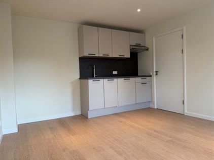 Room for rent 595 euro Rosendaalsestraat, Arnhem