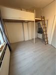 Room for rent 609 euro Museum Kamstraat, Nijmegen