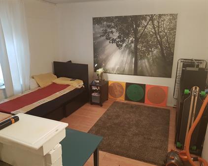 Room for rent 495 euro Lage der A, Groningen