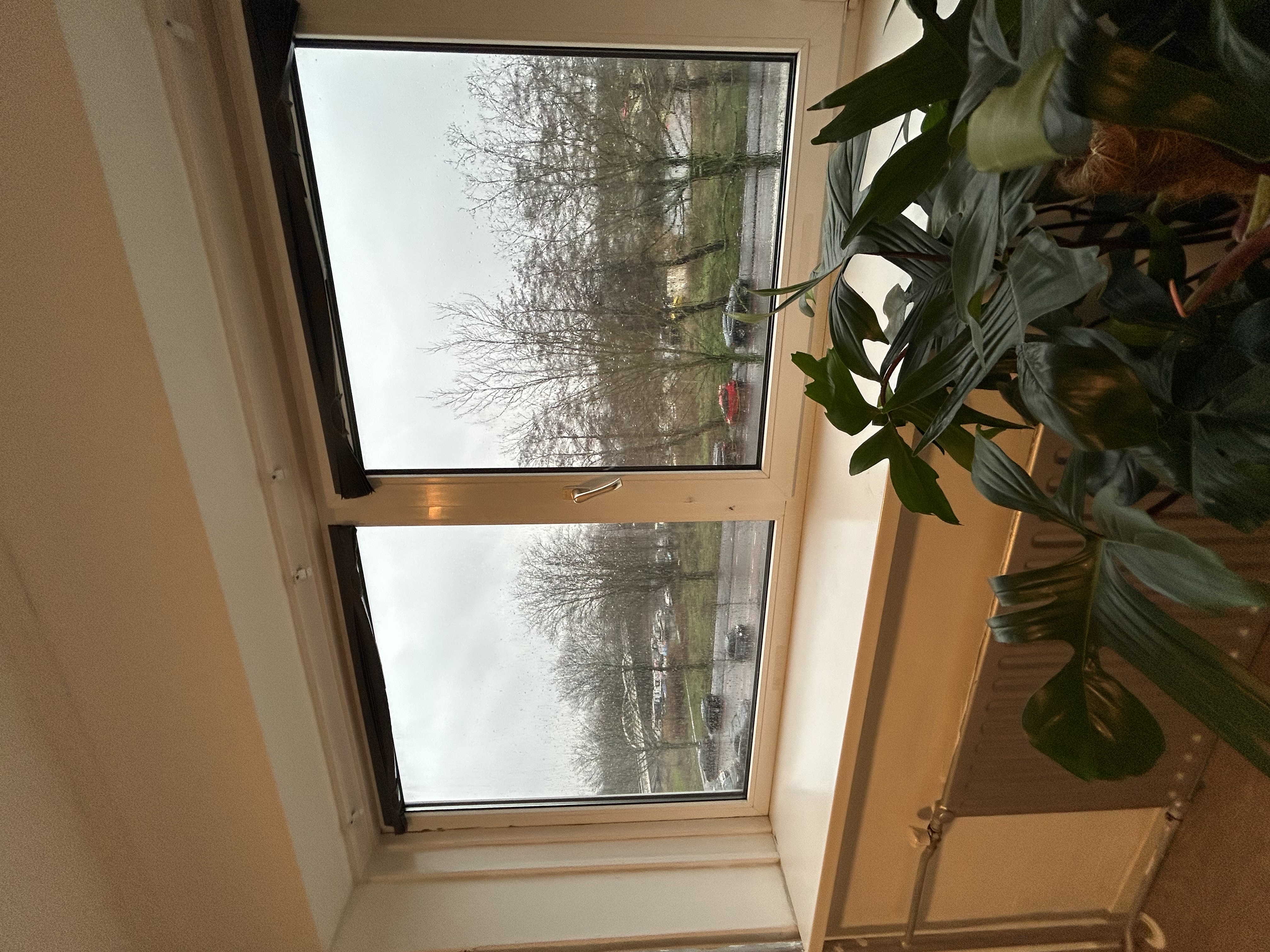 Kamer te huur in Zaandam – Zuidervaart – foto 1