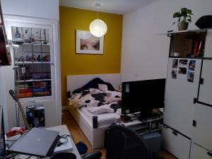 Kamer te huur 380 euro Paxlaan, Delft