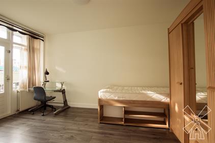 Room for rent 850 euro Schalk Burgerstraat, Den Haag
