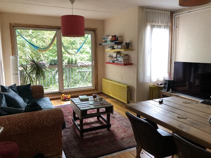 Apartment for rent 1250 euro Frans Halsstraat, Amsterdam
