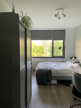 Zimmer bei Texel In Utrecht