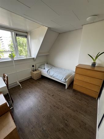 Zimmer bei Asselijnstraat In Utrecht