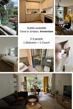Apartment for rent 1100 euro Van Oldenbarneveldtstraat, Amsterdam
