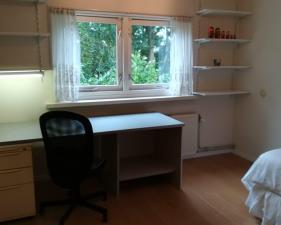 Room for rent 400 euro Dokter Van Haeringenplantsoen, Nieuw-Vennep