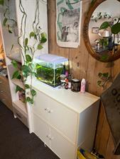 Room for rent 400 euro Brusselseweg, Maastricht