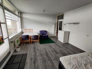 Kamer te huur 1200 euro Livingstonelaan, Utrecht