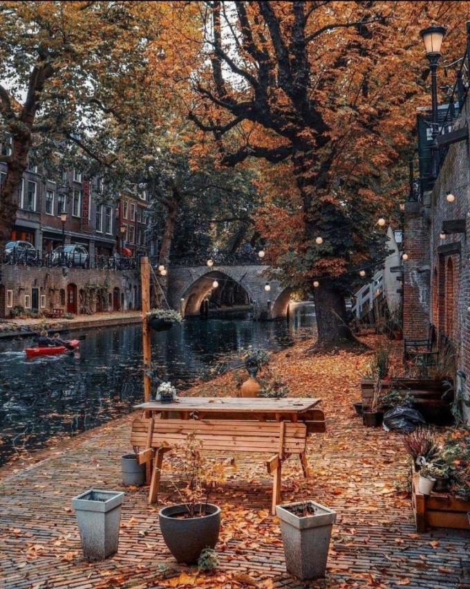 Een Kamer Huren In Utrecht | Kamernet