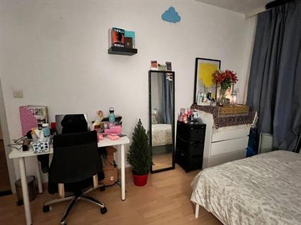 Room for rent 800 euro 's-Gravelandseweg, Schiedam