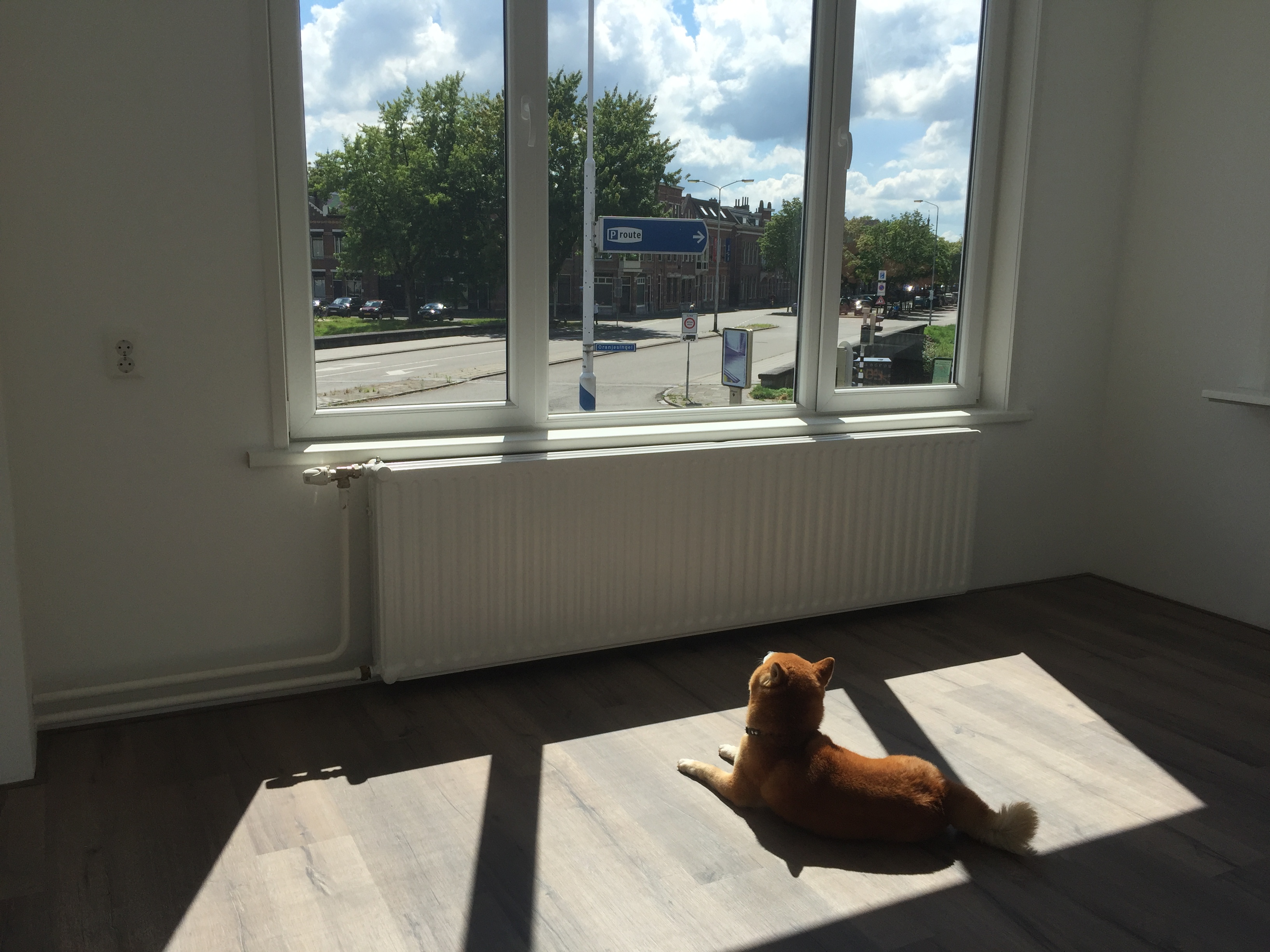 Kamer aan Oranjesingel, Breda 8