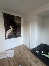 Kamer te huur 450 euro Verschaffeltstraat, Eindhoven