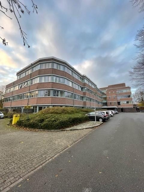 vrije-sector-woningen te huur op Damsport