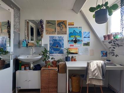 Room for rent 260 euro Achterom, Delft
