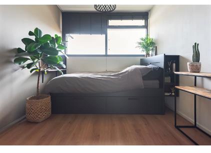 Kamer te huur 1300 euro Oost-Dorsch, Zaandam