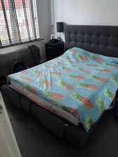 Apartment for rent 750 euro Homme Hettingastraat, Amsterdam