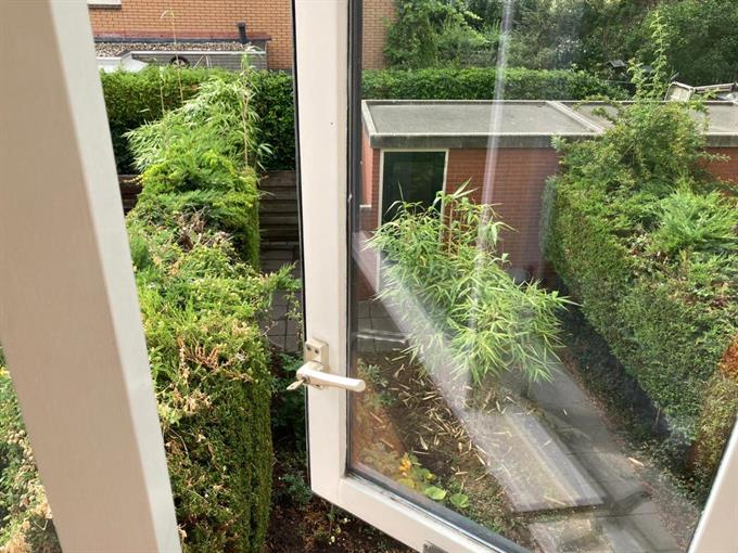 Zimmer bei Wannepad In Amsterdam