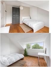 Room for rent 590 euro Franselaan, Rotterdam