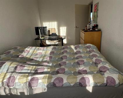 Kamer te huur 725 euro Johannes Wierstraat, Haarlem