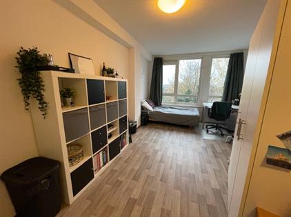 Kamer te huur 475 euro Stadsbrink, Wageningen