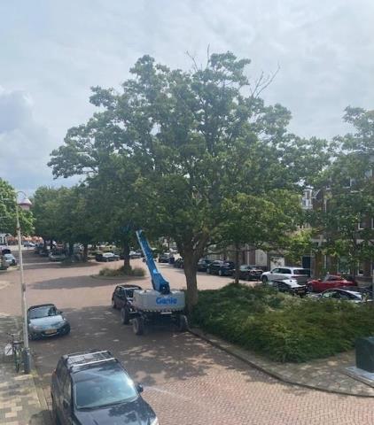 Room for rent 600 euro Thomsonlaan, Den Haag