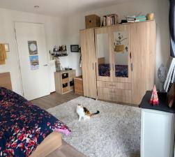 Room for rent 300 euro Waardgracht, Leiden