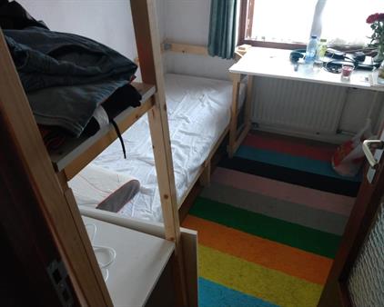 Room for rent 360 euro Tricotstraat, Geldrop